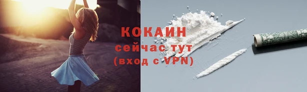 твердый Балахна