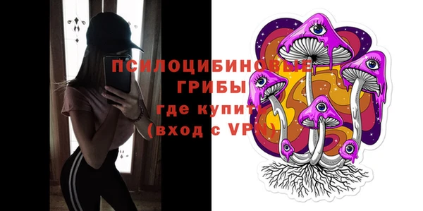 стафф Баксан